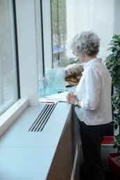 HSJ-Delegiertentag