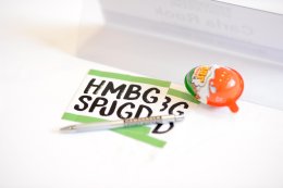 HSJ-Delegiertentag