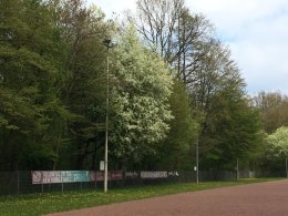 HSB
