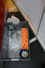 HSJ-Delegiertentag