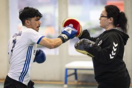 Sportverein TV Fischbek Boxen