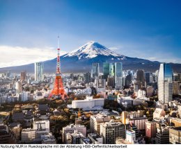 Mt. Fuji and Tokyo Skyline